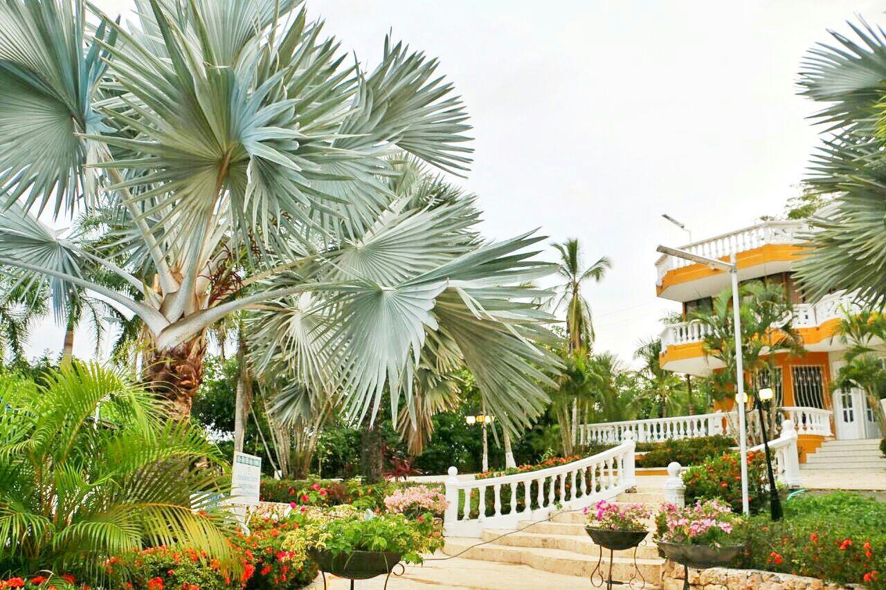 Eco Hotel Villa Martha Турбако Экстерьер фото